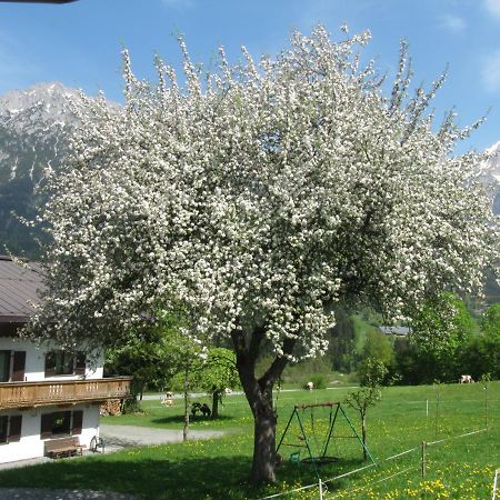 ゼル Bauernhof Neu-Endfelden, Guenter Widauerヴィラ エクステリア 写真