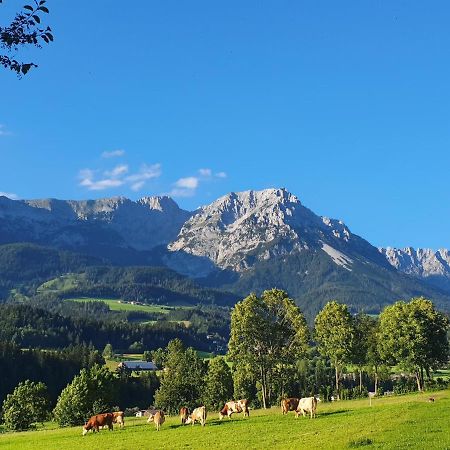ゼル Bauernhof Neu-Endfelden, Guenter Widauerヴィラ エクステリア 写真