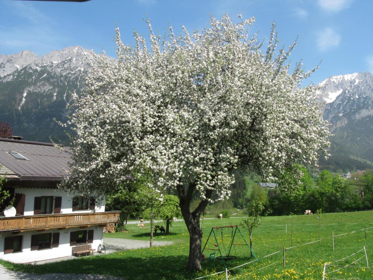 ゼル Bauernhof Neu-Endfelden, Guenter Widauerヴィラ エクステリア 写真