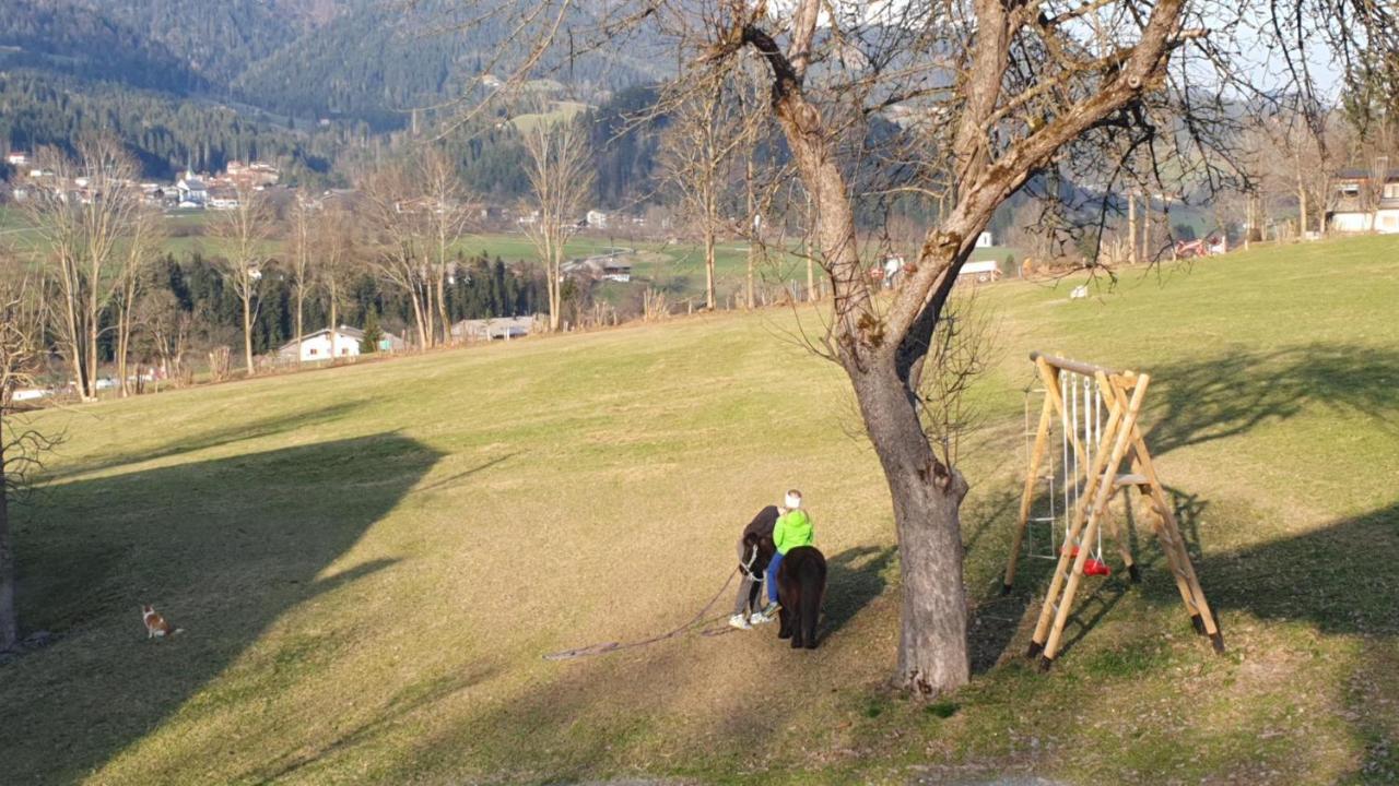 ゼル Bauernhof Neu-Endfelden, Guenter Widauerヴィラ エクステリア 写真