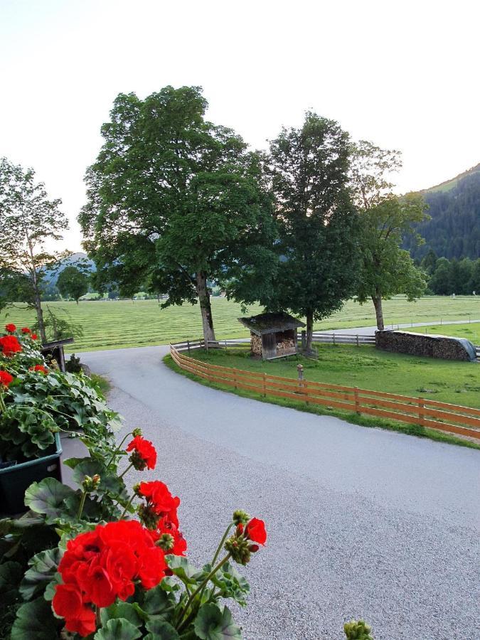 ゼル Bauernhof Neu-Endfelden, Guenter Widauerヴィラ エクステリア 写真