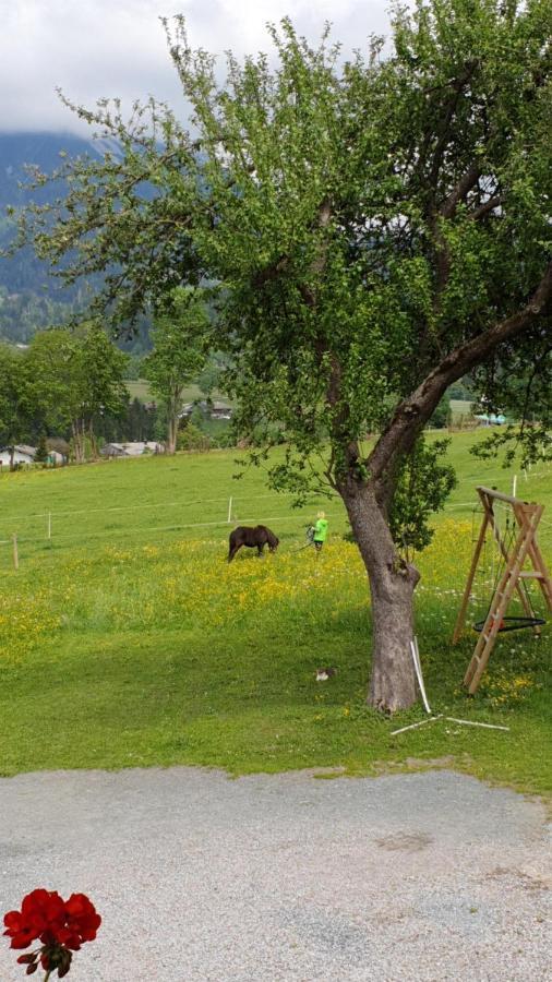 ゼル Bauernhof Neu-Endfelden, Guenter Widauerヴィラ エクステリア 写真
